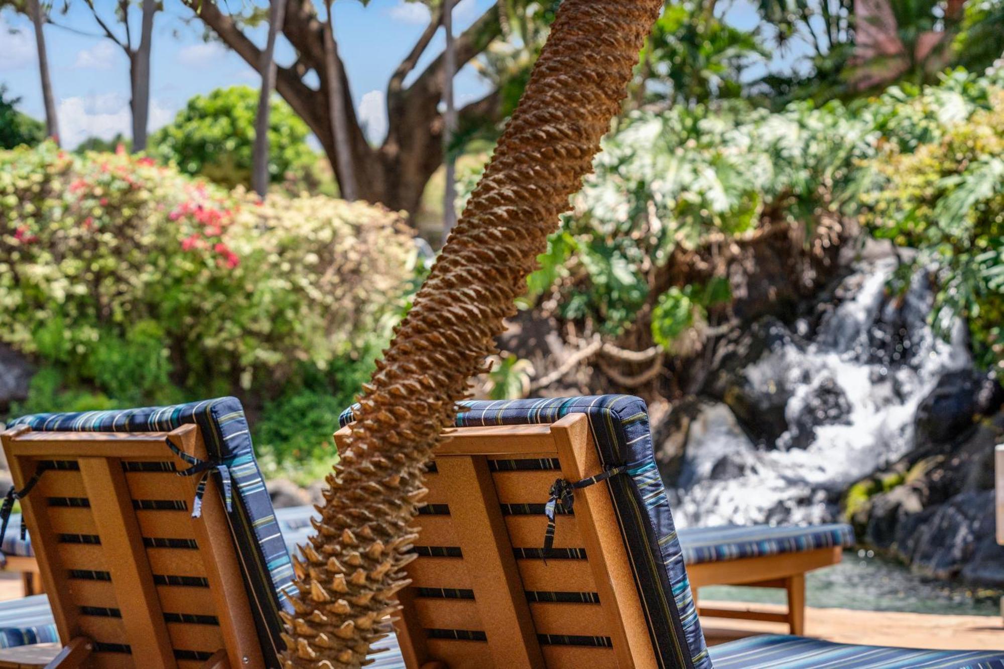 Kahana Falls Resort Napili-Honokowai Kültér fotó